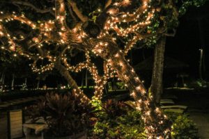 Holiday Lighting Company