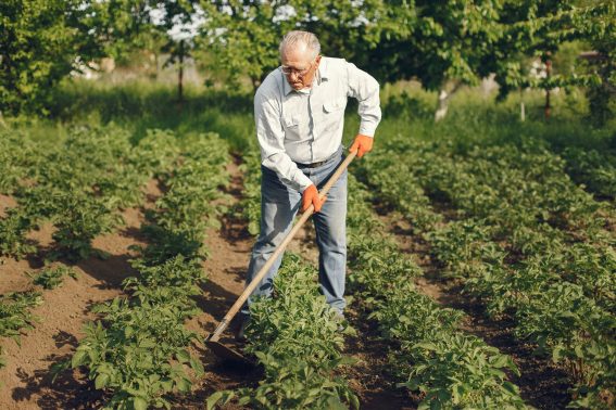 Gardening Company Stouffville