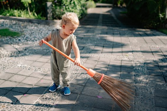 Starting Garden Landscaping Stouffville