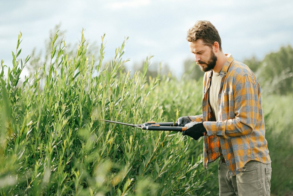 Tools Gardening STouffville