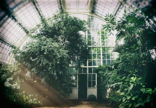 Building A Greenhouse Stouffville