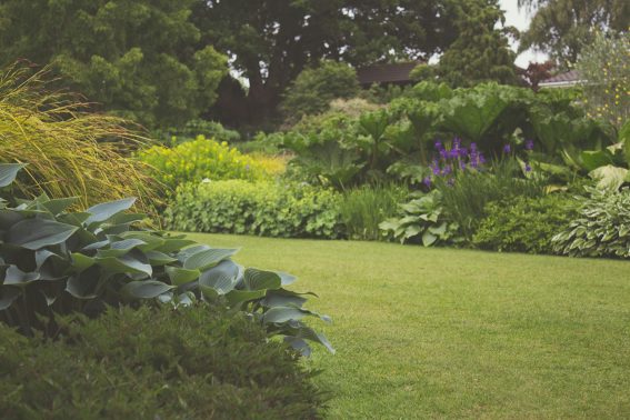 Landscaping Steep Backyard Stouffville