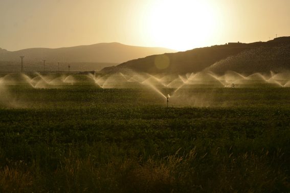 Outdoor Irrigation Stouffville Company