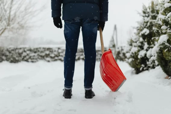 Winter Sunready Landscaping Stouffville