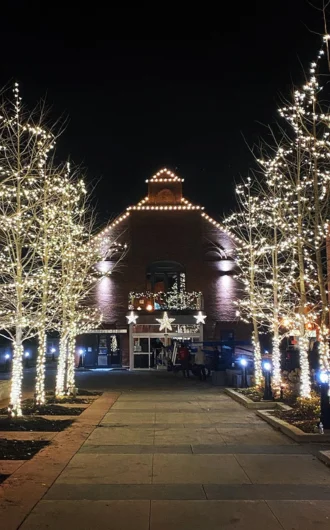 commercial holiday lighting services