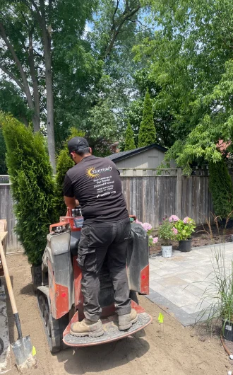 tree planting services toronto