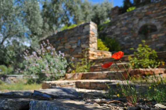 Landscaping Budget Stouffville