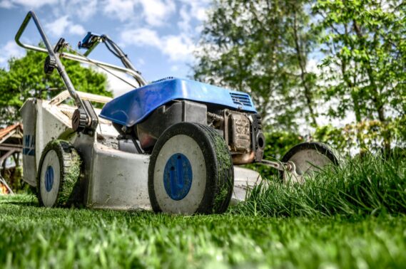 Lawn Care Stouffville Early Spring