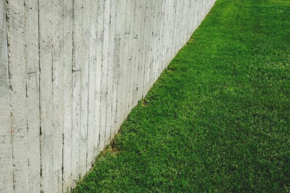 Spring Lawn Care Stouffville Early