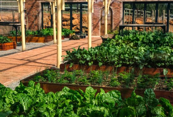 Stouffville Company Garden Bed