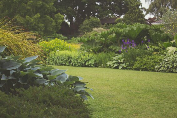 Stouffville Landscaping Budget Options