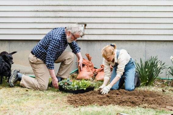 Senior Landscaping Stouffville Company