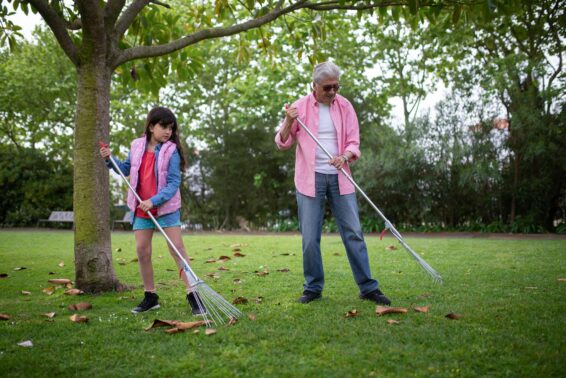 Raking, Pruning, and Prepping Company Stouffville