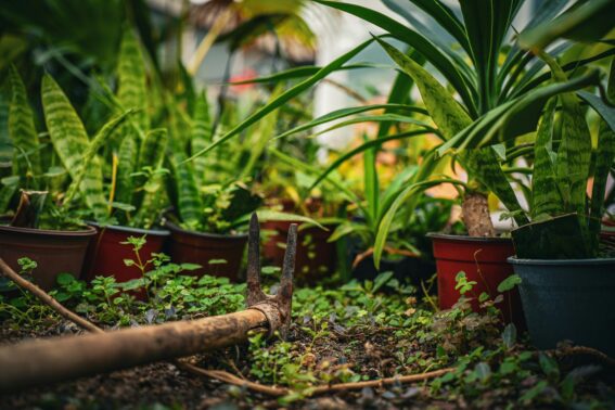 Spring Yard Cleanup Stouffville Company