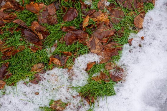 Stouffville Lawn Recovery Snow Company