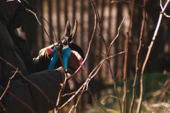 Stouffville Raking, Pruning, and Prepping Company