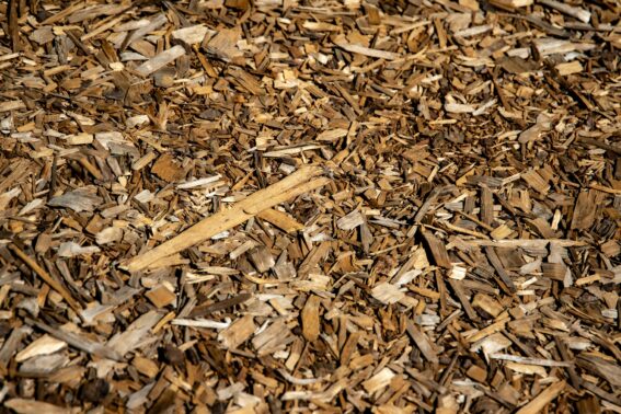 Mulch Fertilizer Aeration Company Stouffville