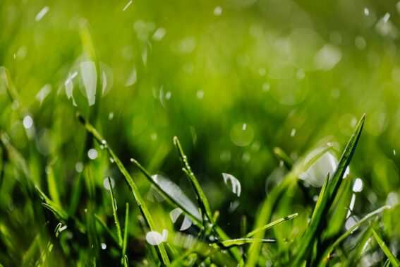 Stouffville Mulch Fertilizer Aeration Company