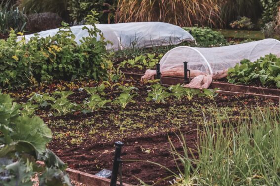 Garden Stouffville Bed Fall Preparation Company