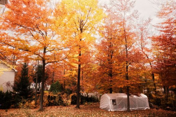 Fall Landscaping Stouffville Company