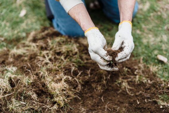 Lawn Stouffville Seeding Company