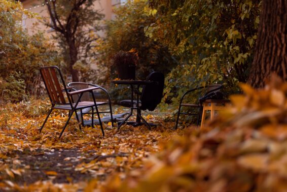 Stouffville Fall Landscaping Company