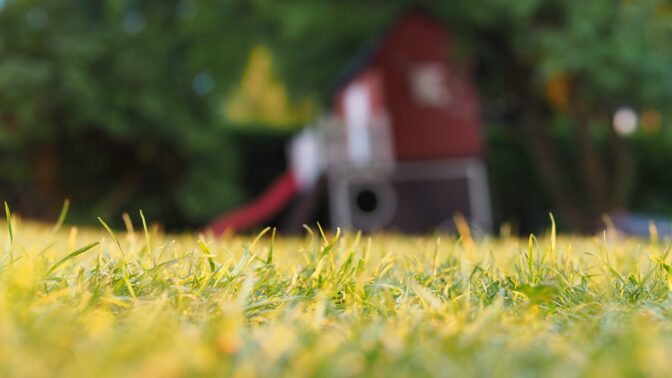 Yellow Lawn Fix Stouffville Company